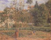 Camille Pissarro Vegetable Garden at the Hermitage near Pontoise oil painting
